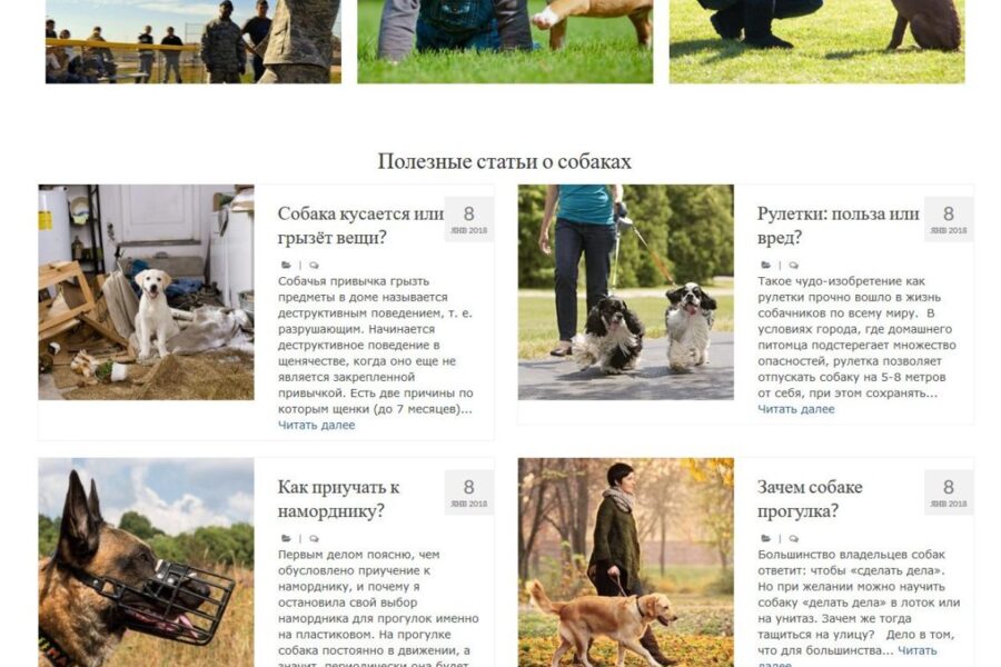 Разработка сайта школы дрессировки собак на CMS WordPress (5447)