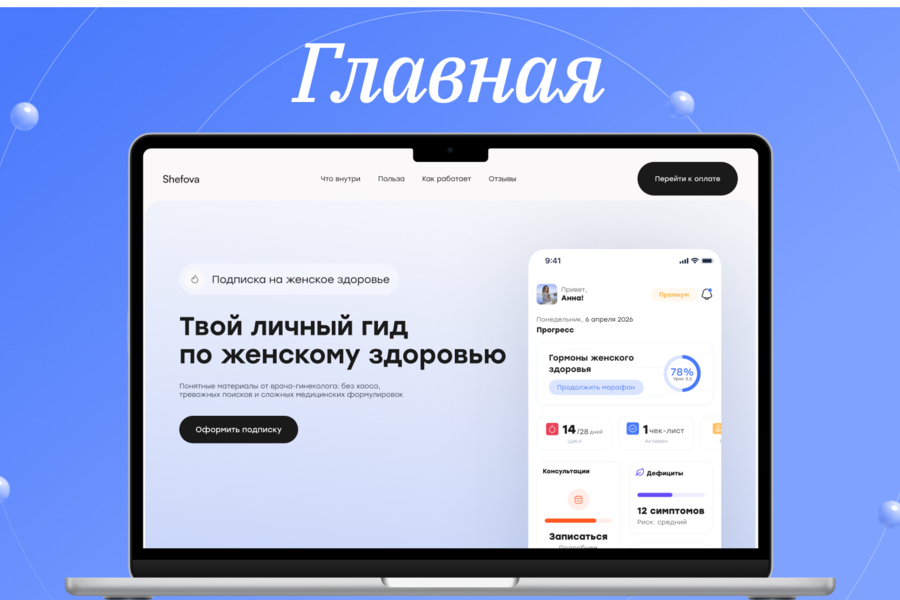 Shefova — от разрозненных каналов к собственной digital-экосистеме (6440)