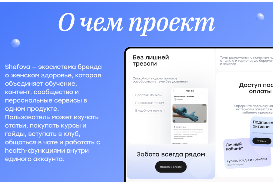Shefova — от разрозненных каналов к собственной digital-экосистеме (6443)