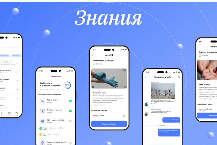 Shefova — от разрозненных каналов к собственной digital-экосистеме (6446)