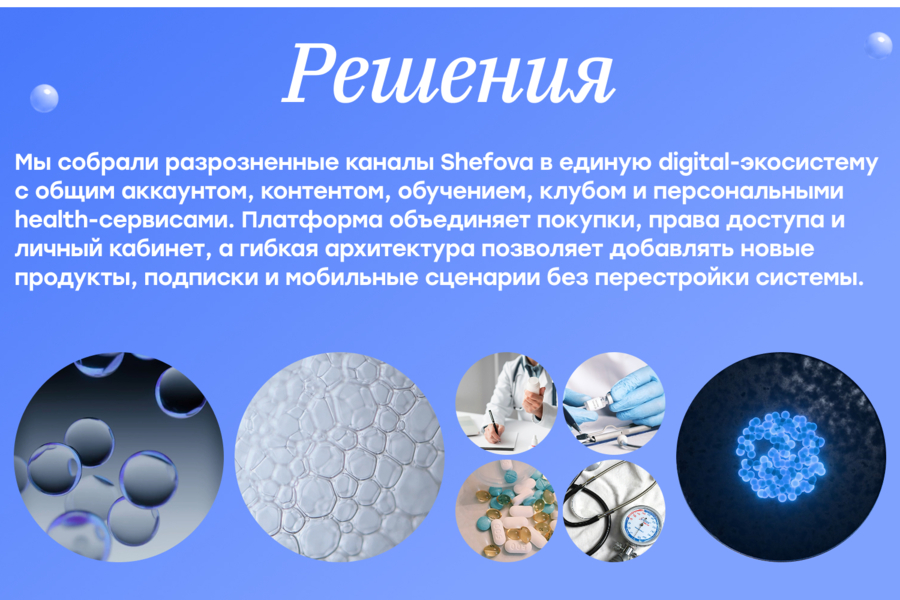 Shefova — от разрозненных каналов к собственной digital-экосистеме (6461)