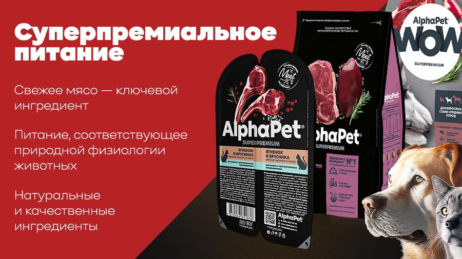 Листовка и баннер (7634)