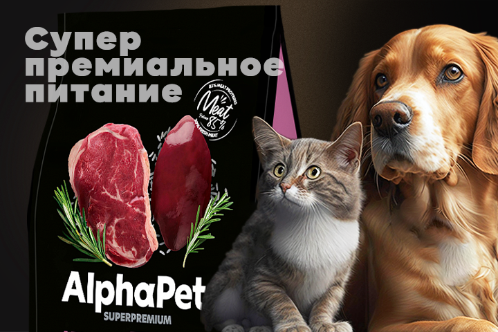 Листовка и баннер (7628)