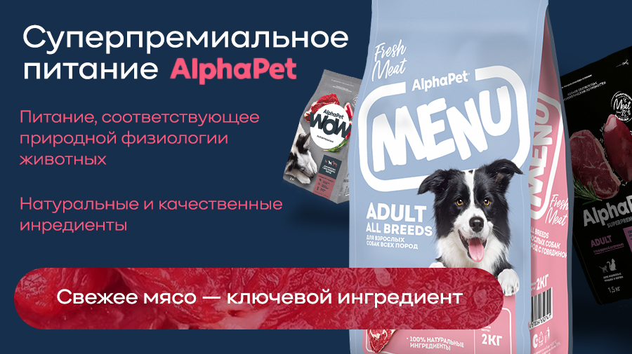 Листовка и баннер (7631)